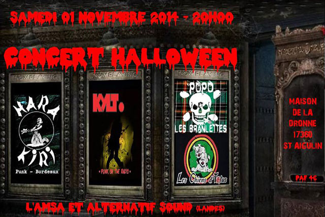 Concert de soutien à Alternatif Sound à la Maison de la Dronne le 01 novembre 2014 à Saint-Aigulin (17)