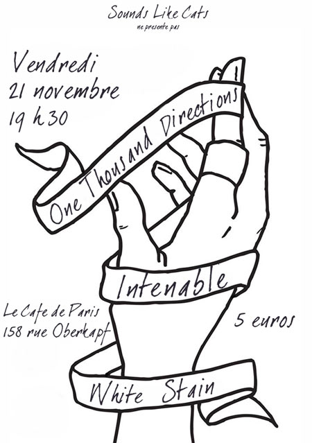 INTENABLE + ONE THOUSAND DIRECTION + WHITE STAIN le 21 novembre 2014 à Paris (75)