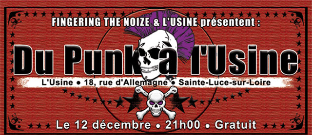 Du Punk à l'Usine le 12 décembre 2014 à Nantes (44)