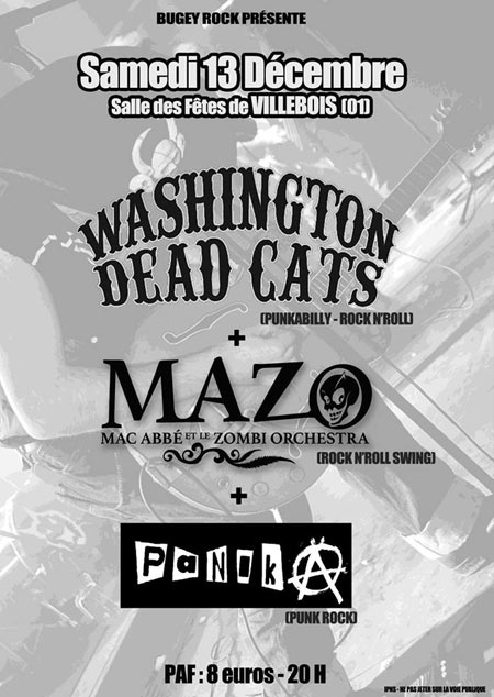 Washington Dead Cats / Mazo / Panika le 13 décembre 2014 à Villebois (01)