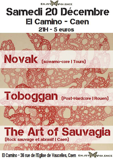 NOVAK + TOBOGGAN + THE ART OF SAUVAGIA @ El Camino le 20 décembre 2014 à Caen (14)