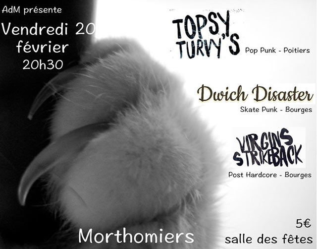 Topsy Turvy's + Dwich Disaster + Virgins Strike Back le 20 février 2015 à Morthomiers (18)