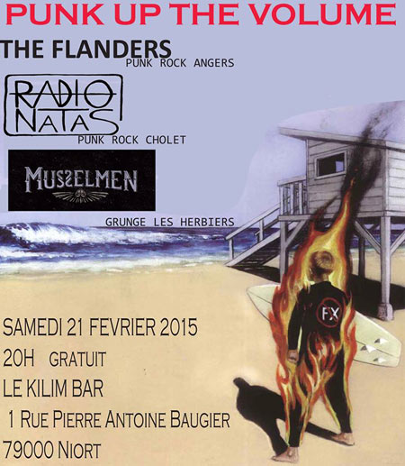 The Flanders + Radio Natas + Musselmen au Kilim Bar le 21 février 2015 à Niort (79)