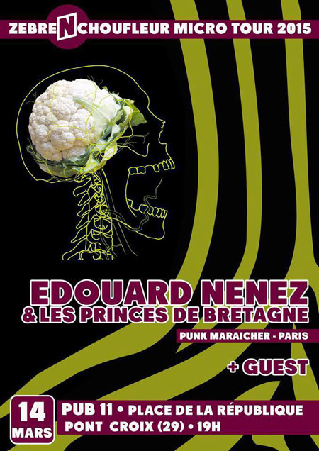 Édouard Nenez et les Princes de Bretagne au Pub le 14 mars 2015 à Pont-Croix (29)