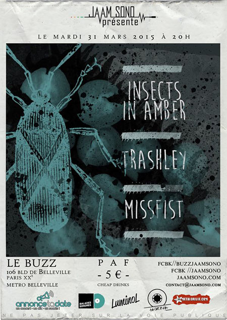 Missfist + Trashley + Insects In Amber au Buzz le 31/03/2015 à Paris (75)