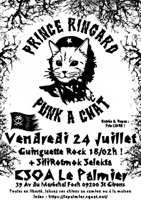 Guinguette Punk @ CSOA Le Palmier avec PRINCE RINGARD le 24 juillet 2015 à Saint-Girons (09)