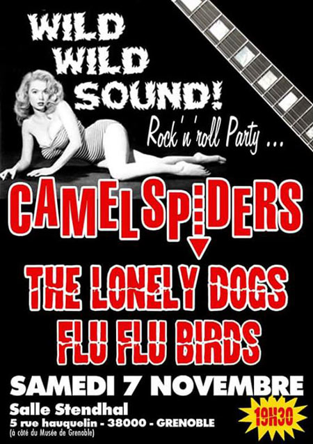 Camel Spiders + The Lonely Dogs + Flu Flu Birds @ Salle Stendhal le 07 novembre 2015 à Grenoble (38)