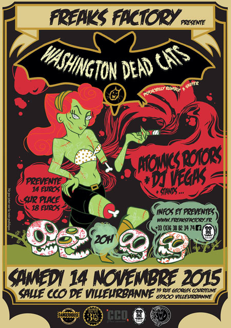 Concert Washington Dead Cats les 30 ans le 14 novembre 2015 à Villeurbanne (69)