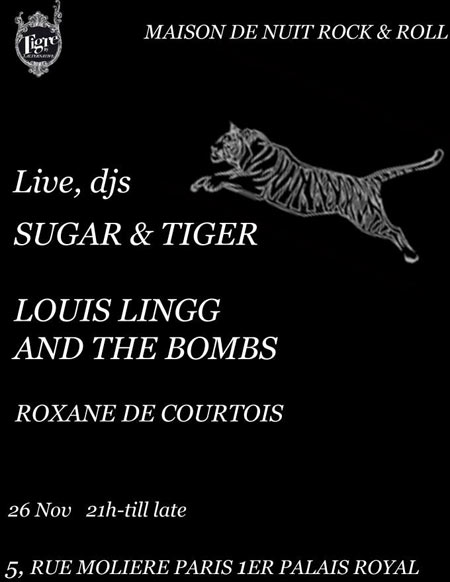 Concert au Tigre club le 26 novembre 2015 à Paris (75)