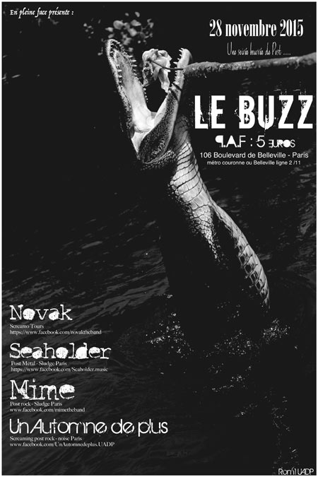 Novak + Seaholder + Un Automne de Plus + Mime au Buzz le 28 novembre 2015 à Paris (75)