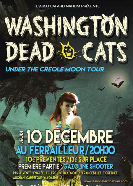 Washington Dead Cats au Ferrailleur le 10 décembre 2015 à Nantes (44)