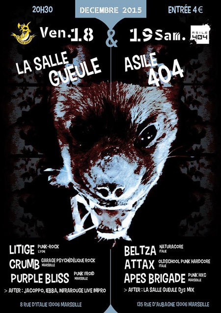 Attax + Apes Brigade + Da Leada à l'Asile 404 le 19 décembre 2015 à Marseille (13)