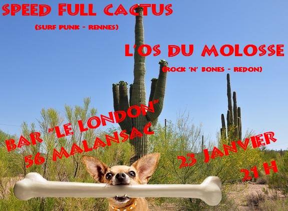 Full Speed Cactus + L'Os du Molosse au London le 23 janvier 2016 à Malansac (56)