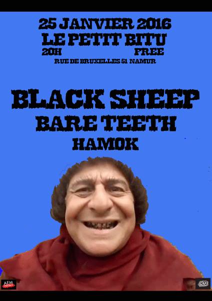 Black Sheep + Bare Teeth + Hamok au Petit Bitu le 25 janvier 2016 à Namur (BE)