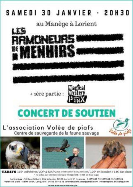 Les Ramoneurs de Menhirs + Magical Mystery Punx au Manège le 30 janvier 2016 à Lorient (56)