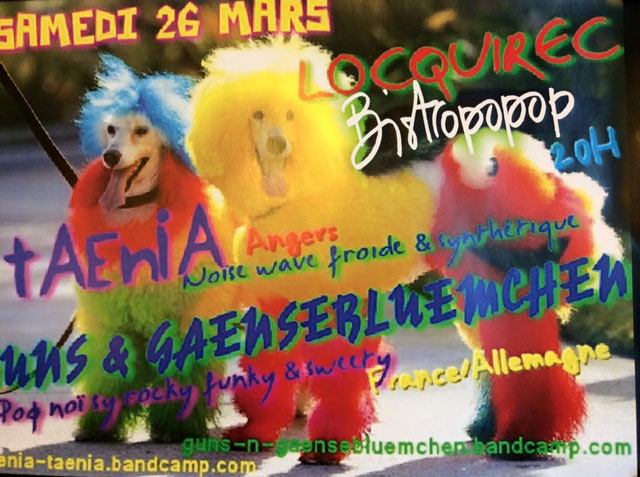 Guns'n'Gänseblümchen + Taenia au Bistropopop le 26 mars 2016 à Locquirec (29)