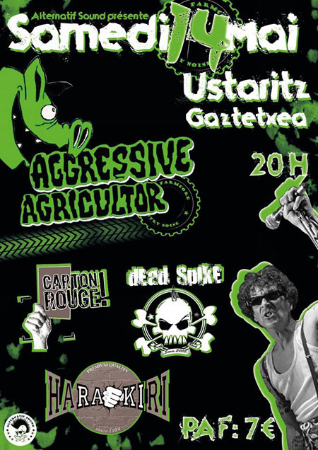Concert Alternatif Sound au gaztetxe le 14 mai 2016 à Ustaritz (64)