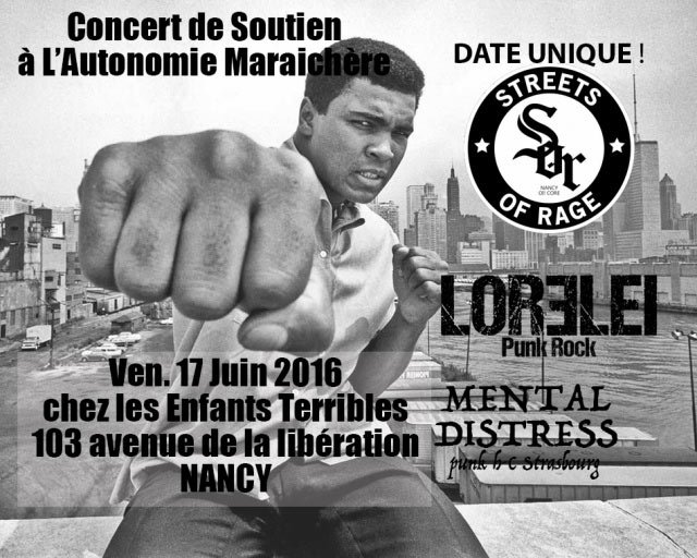 Concert de soutien à l'autonomie maraîchère au 103 le 17 juin 2016 à Nancy (54)