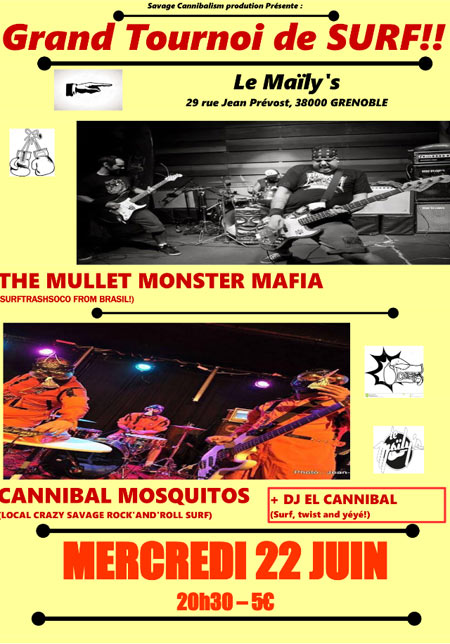 Grand Tournoi de Surf!! Cannibal Mosquitos, Mullet Monster Mafia le 22 juin 2016 à Grenoble (38)