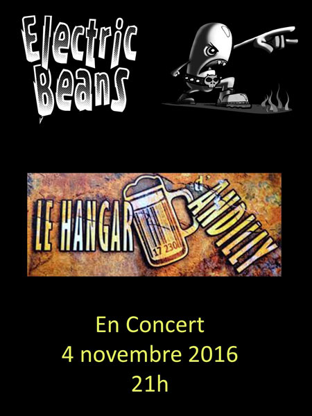 Concert Punk/Rock au Hangar d'Andilly le 04 novembre 2016 à Andilly (17)