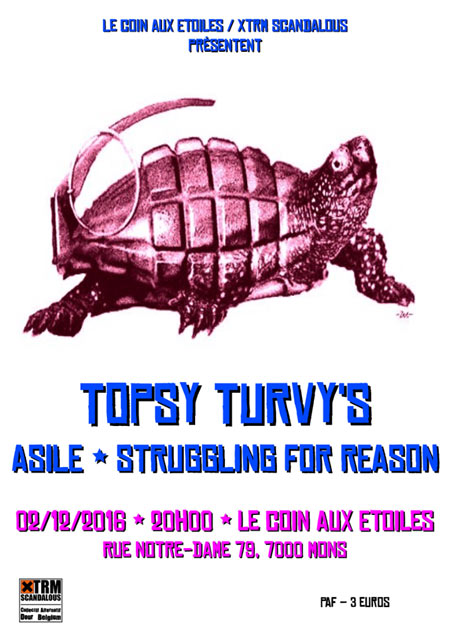 Topsy Turvy's +Asile +Struggling For Reason au Coin aux Étoiles le 02 décembre 2016 à Mons (BE)