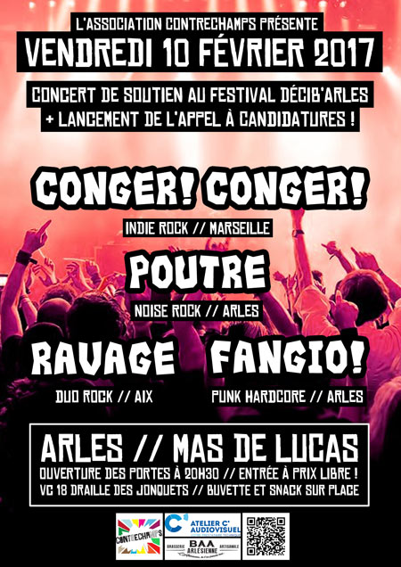 Concert de soutien au Décib'Arles le 10 février 2017 à Arles (13)