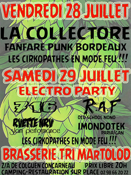 Concert Punk/Electro Tri Martolod le 28 juillet 2017 à Concarneau (29)
