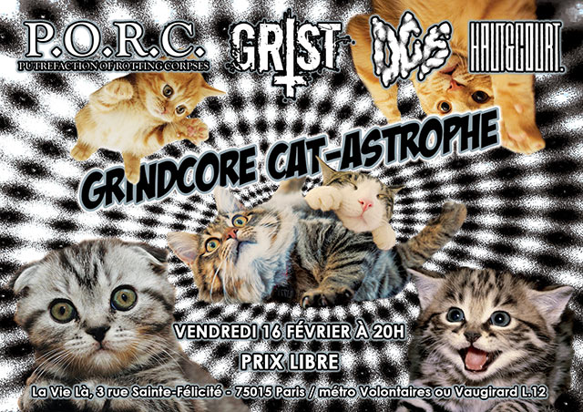 GRINDCORE CAT-ASTROPHE le 16 février 2018 à Paris (75)