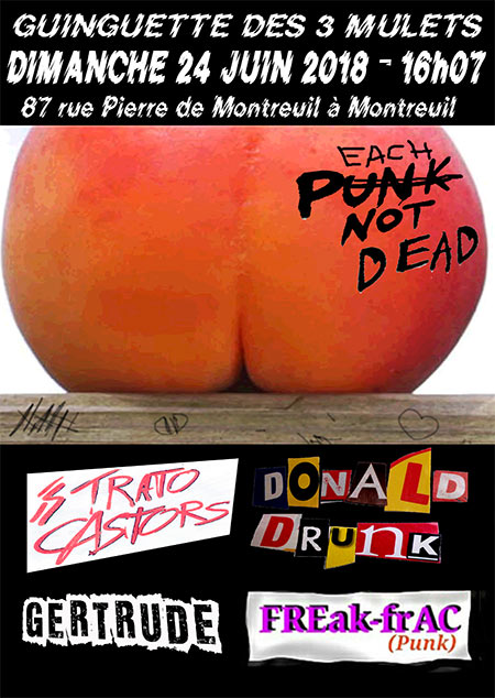 DONALD DRUNK - STRATOCASTORS - FREAK FRAC - GERTRUDE le 24 juin 2018 à Montreuil (93)