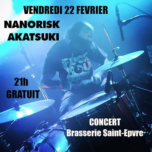 Concert Electropunk one man band le 22 février 2019 à Nancy (54)