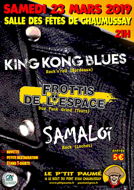 Samaloï + King Kong Blues + Les Frottis de l'Espace le 23 mars 2019 à Chaumussay (37)
