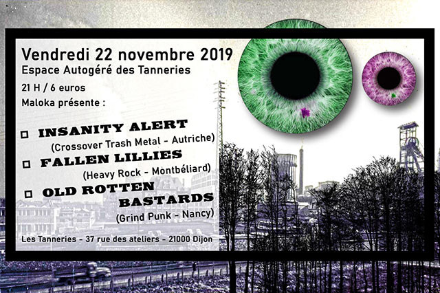 Insanity Alert+Fallen Lillies+Old Rotten Bastards aux Tanneries le 22 novembre 2019 à Dijon (21)