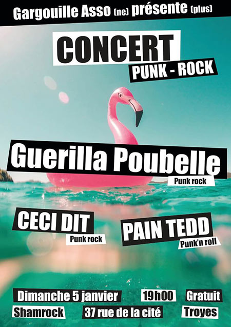 Guerilla Poubelle + Ceci Dit + Pain Tedd au Shamrock le 05 janvier 2020 à Troyes (10)