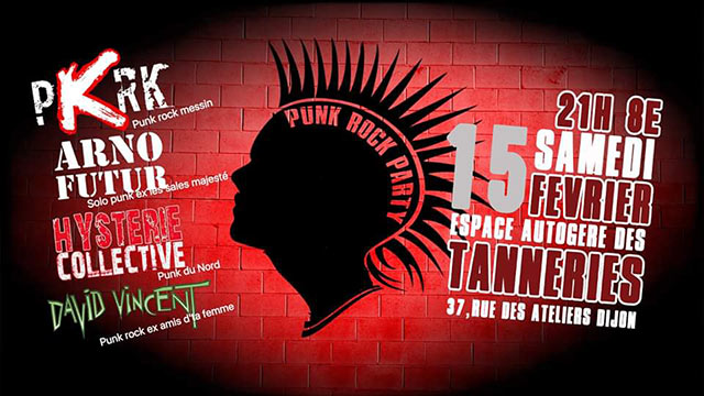 Punk Rock party aux Tanneries le 15 février 2020 à Dijon (21)