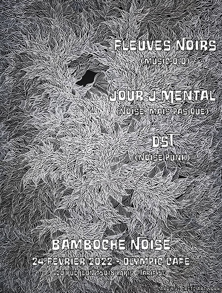 Fleuves Noirs + Jour J Mental + DST le 24 février 2022 à Paris (75)