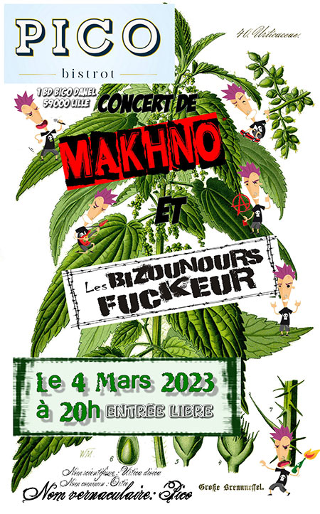 Du PUNK piquant au PICO BISTROT le 04 mars 2023 à Lille (59)