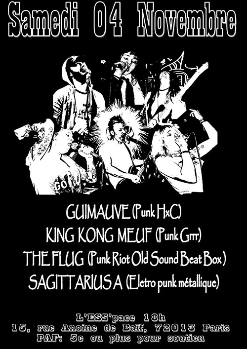 GUIMAUVE / KING KONG MEUF / THE FLUG / SAGITTARIUS A le 04 novembre 2023 à Paris (75)