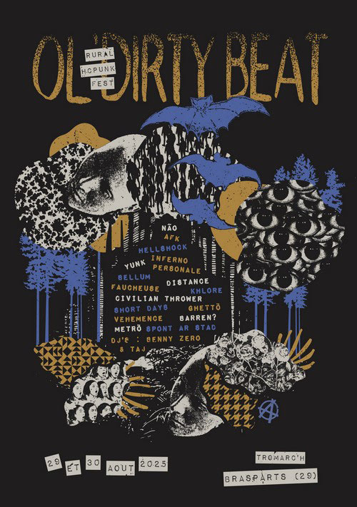 Ol'Dirty Beat Fest le 29 août 2025 à Brasparts (29)